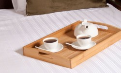 Aliquam congue fermentum nisl