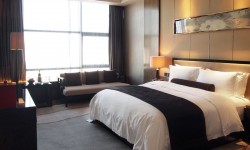 Etiam dictum egestas