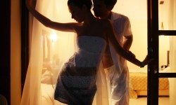 Vestibulum libero nisl.